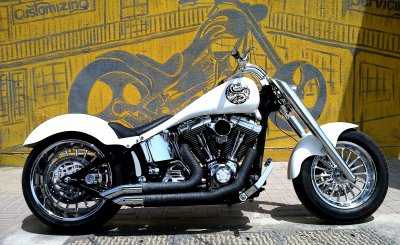 CUSTOM FENDER