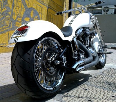 CUSTOM FENDER