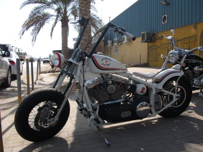 CUSTOM FENDER